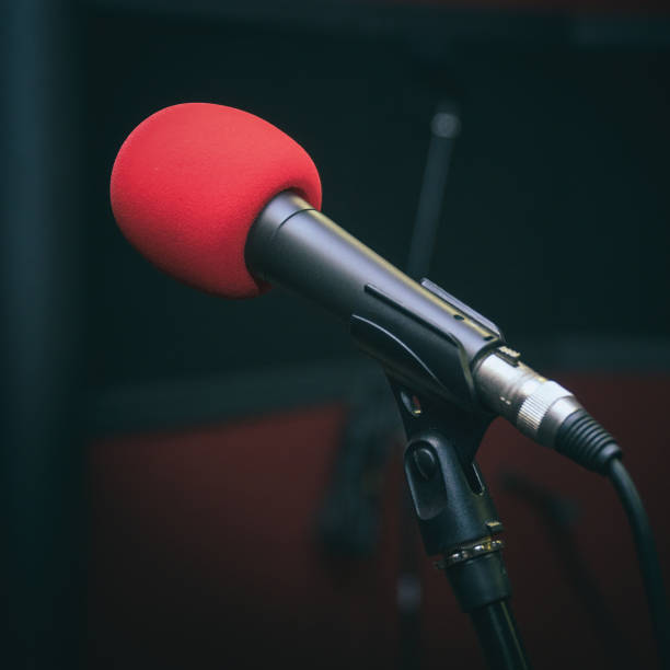 istock Microphone in the Studio on a stand on a dark background 1255972968