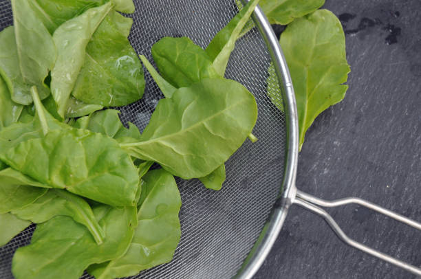 istock Fresh spinach leaves in a sieve draining on a slate work surface 1255974972