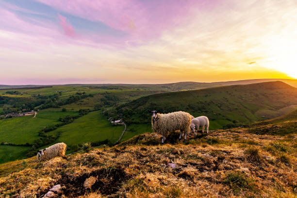istock Sunset atop Chrome Hill in the Peak District 1255976056