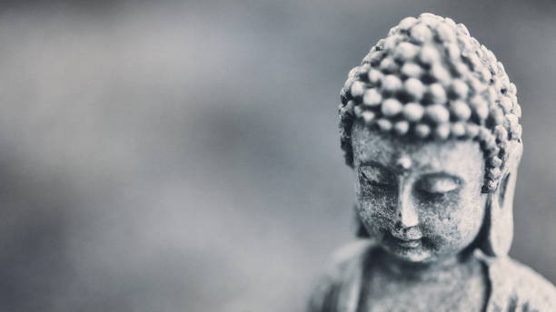 istock Little Buddha in Meditation 1255976601
