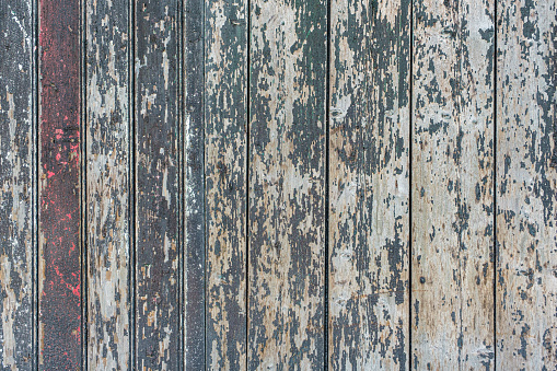 Vertical green grey wooden fence as a background. Close up of wooden weathered barn boards with peeling red and green paint, great vintage texture.