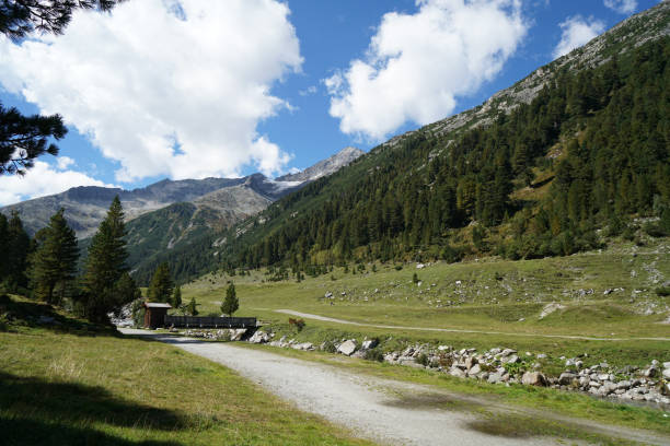 istock Hiking trails in the Bavarian Forest in spring 1255978368