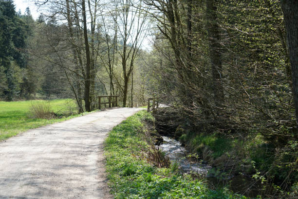 istock Hiking trails in the Bavarian Forest in spring 1255978377