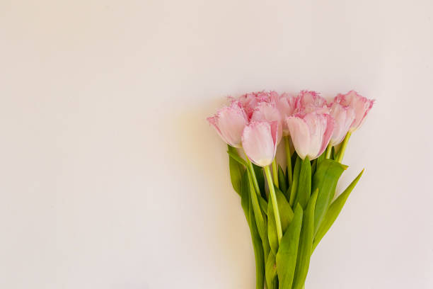 istock Feminine flower composition with pale pink tulips. 1255978431