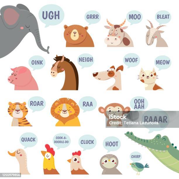 Animals Sounds Cute Animal Making Sounds Cat And Dog Sheep And Cow Pig And  Hen Horse And Lion Bear And Monkey Cartoon Vector Set Stock Illustration -  Download Image Now - iStock