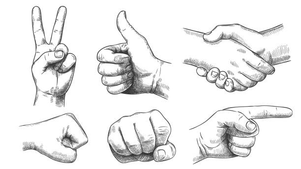 illustrations, cliparts, dessins animés et icônes de gestes dessinés à la main. doigt pointeur, poing fort et coup de poing. poignée de main, pouce vers le haut comme et triompher le signe de signe de victoire ensemble d’illustration de croquis - triumph