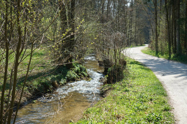 istock Hiking trails in the Bavarian Forest in spring 1255980270