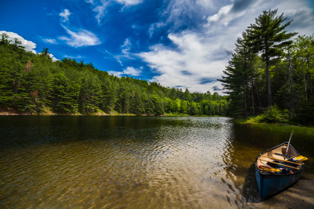 istock Canadian lake 1255980439