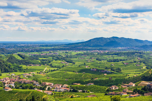 istock Valdobbiadene - Prosecco hills in summer - overview 1255981783