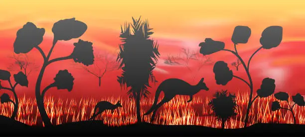 Vector illustration of Forest fires in Australia with a kangaroo silhouette. Pray for Australia.