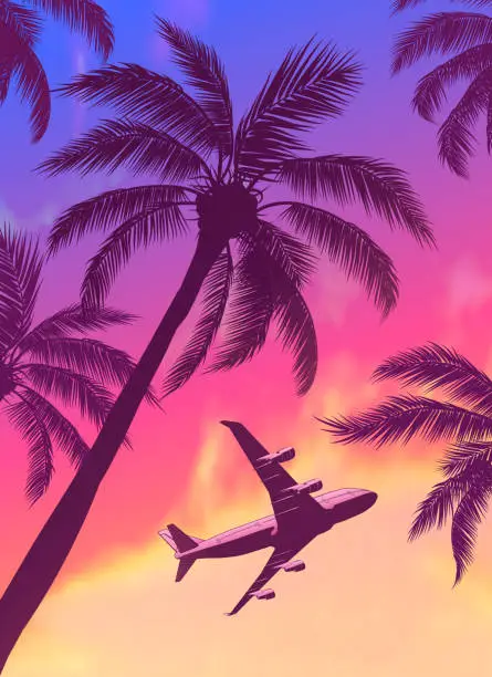 Vector illustration of Passenger Airplane Over Palm Trees with Beautiful Blue Pink Orange Sunset