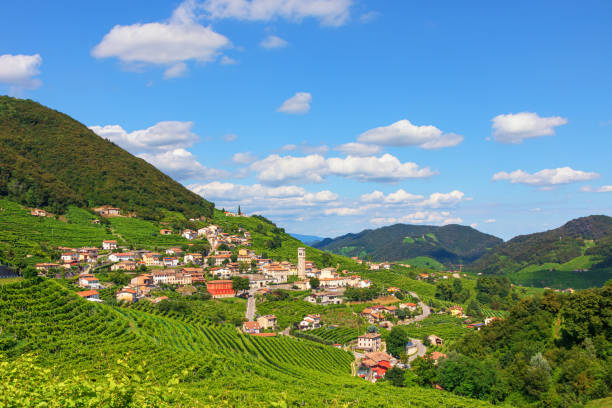 istock Santo Stefano di Valdobbiadene - Prosecco hills in summer 1255984162