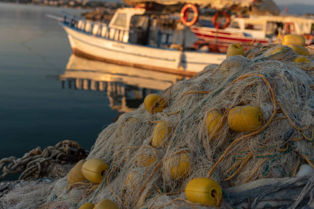 istock Fishing Boat in Side Port, Turkey 1255984859