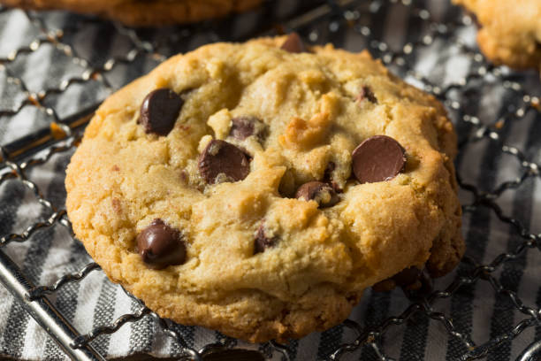 istock Homemade Warm Chocolate Chip Cookies 1255985488