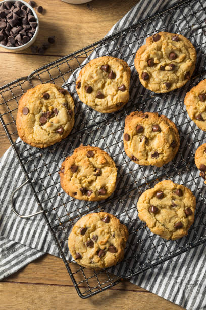istock Homemade Warm Chocolate Chip Cookies 1255986144