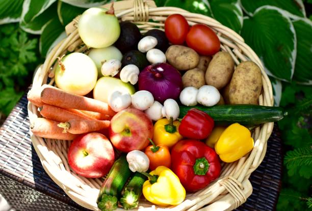 istock Fresh organic harvested vegetables displayed artistically for enticing healthy eating lifestyle habits 1255986219