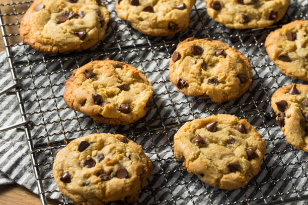 istock Homemade Warm Chocolate Chip Cookies 1255987048