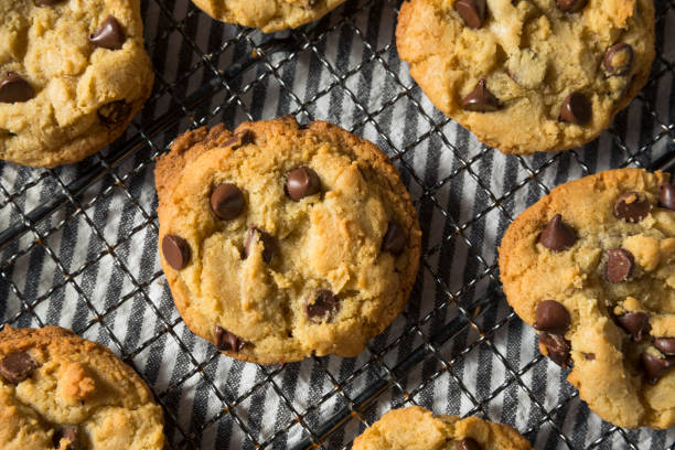 istock Homemade Warm Chocolate Chip Cookies 1255987083