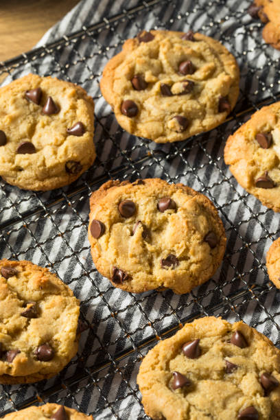 istock Homemade Warm Chocolate Chip Cookies 1255987249