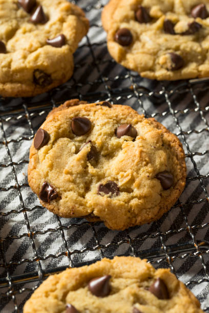 istock Homemade Warm Chocolate Chip Cookies 1255987319