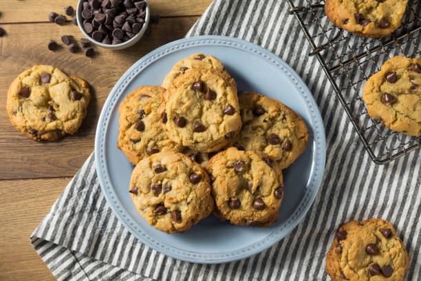 istock Homemade Warm Chocolate Chip Cookies 1255987359