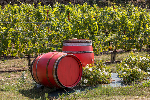 Two old red barrels in a vineyard in Eyrignac. Dordogne, France