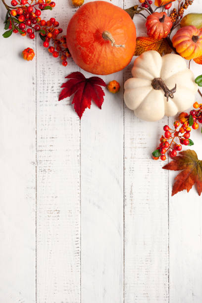 Autumn background from fallen leaves and pumpkins on wooden vintage table Festive autumn decor from pumpkins, berries and leaves on a white  wooden background. Concept of Thanksgiving day or Halloween. Flat lay autumn composition with copy space. october photos stock pictures, royalty-free photos & images