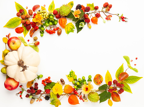 Various autumn leaves, pine cones, berries, fruits and pumpkins