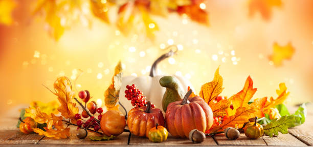 autumn background from fallen leaves and pumpkins on wooden vintage table - autumn sun oak tree imagens e fotografias de stock