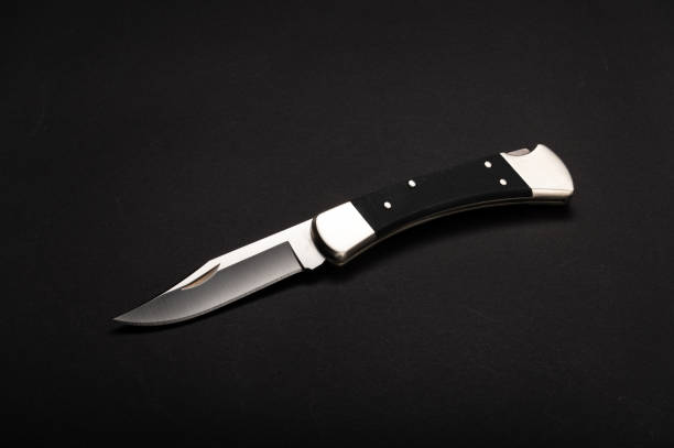istock Hunter folding knife with a black handle and silver bolster. 1255989475