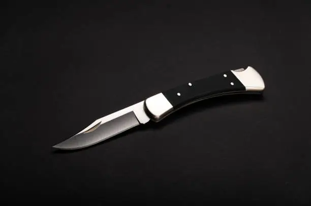 Photo of Hunter folding knife with a black handle and silver bolster.