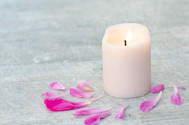 istock Beautiful pink peony petals and white candle on grey stone background with copy space for your text top view. 1255989574