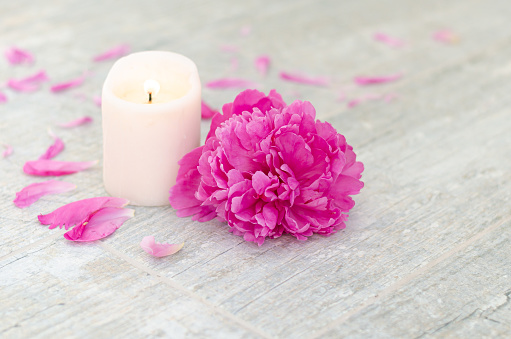 Beautiful pink peony flowers and white candle on light grey stone background with copy space for your text top view. Greeting card, SPA and romantic concept.