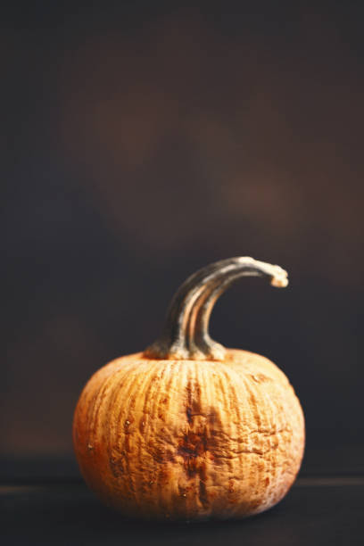 istock Wrinkled pumpkin on dark background 1255990855