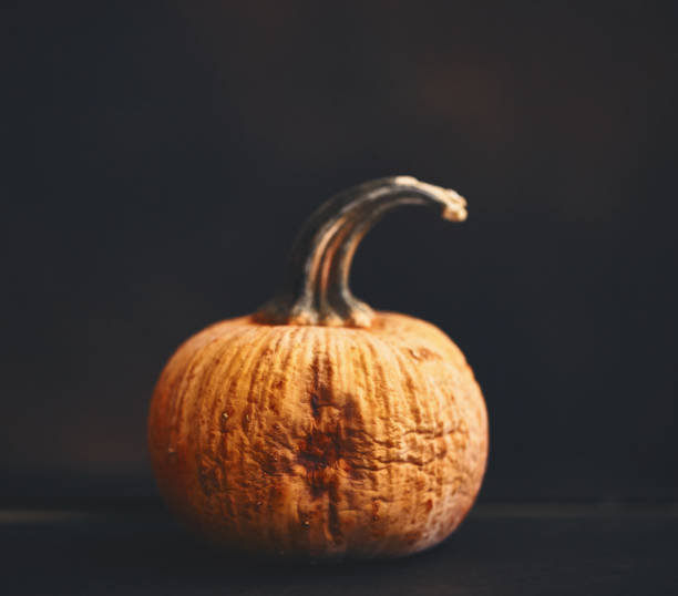 istock Wrinkled pumpkin on dark background 1255990859