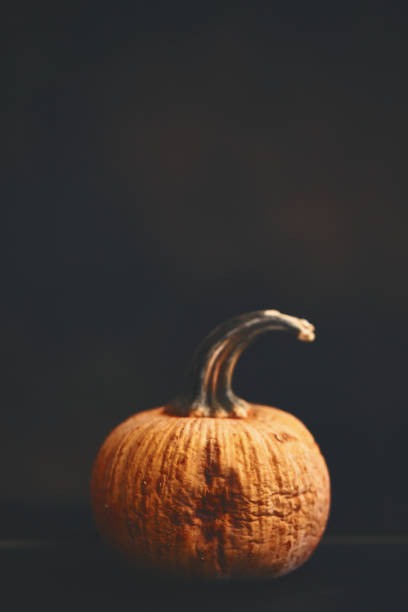 istock Wrinkled pumpkin on dark background 1255990867