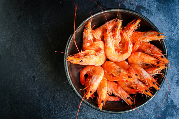 istock shrimp cooked seafood ready to eat prawn Menu serving size. food background top view copy space organic healthy eating raw pescatarian 1255991843