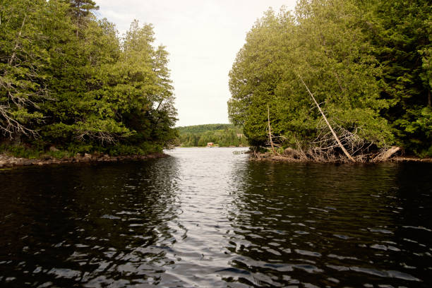 istock Small passage between two island on a calm lake in nature. 1255992671