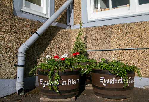 Pot plants with the words Eynsford in Bloom in Kent, England