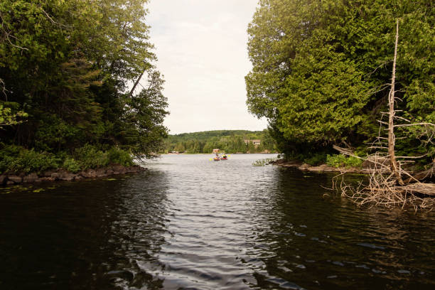 istock 50 + man and woman kayaking on a lake. 1255993897