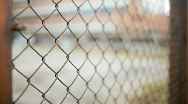 istock Rabitz Metal fencing mesh in a close up view 1255998566