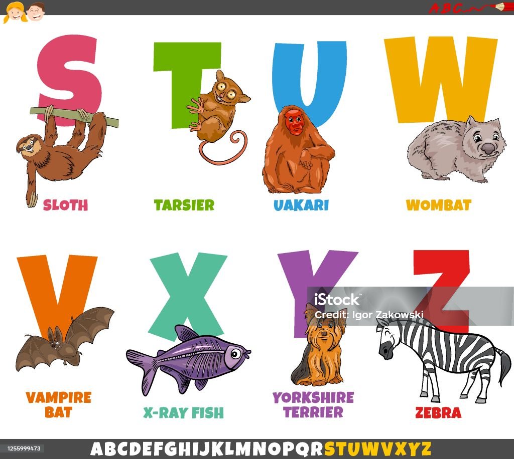 Ilustración de Alfabeto De Dibujos Animados Educativos Con Caracteres  Animales y más Vectores Libres de Derechos de Letra W - iStock