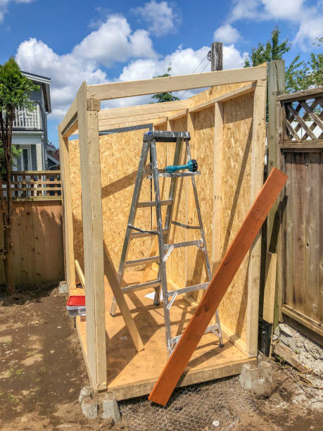 istock Shed contstruction project in the back yard 1256002162
