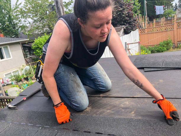 istock Carpenter Woman at work building a shed 1256002228
