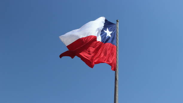 istock Moving flag of Chile on a pole with a clear blue sky on the back 1256010802