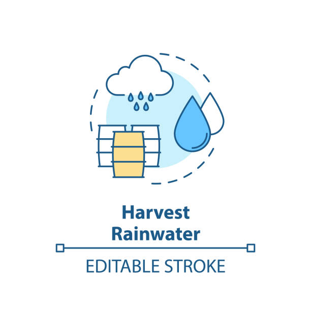 Rain Water Harvesting Illustrations, Royalty-Free Vector Graphics & Clip  Art - iStock