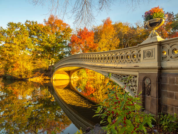 ponte di prua di central park - autumn park central park lake foto e immagini stock