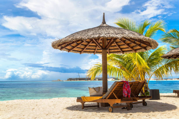 istock Sunbed and umbrella in the Maldives 1256024796