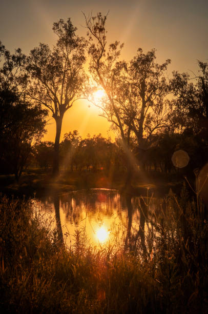 Rural waterhole wetland in Chinchilla in the Western Downs in Queensland