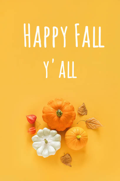 istock Happy fall y'all text and fall composition made from pattison, squash, pumpkin and yellow leaves herbarium on orange background. Concept Hello Autumn Top view Flat lay 1256030516